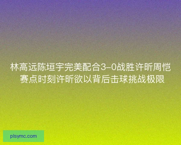 林高远陈垣宇完美配合3-0战胜许昕周恺 赛点时刻许昕欲以背后击球挑战极限 林高远陈垣宇完美配合3-0战胜许昕周恺 赛点时刻许昕欲以背后击球挑战极限