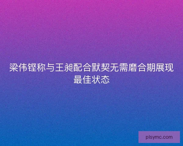 梁伟铿称与王昶配合默契无需磨合期展现最佳状态