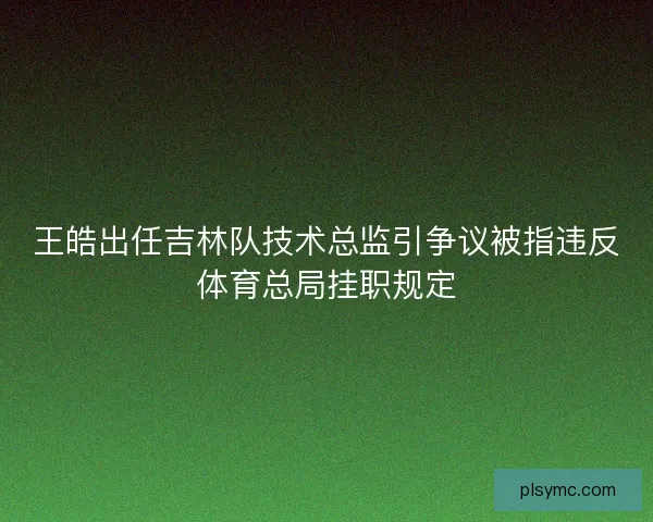 王皓出任吉林队技术总监引争议被指违反体育总局挂职规定